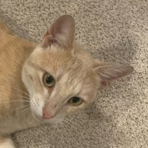 Meet your Posher, Madelyn